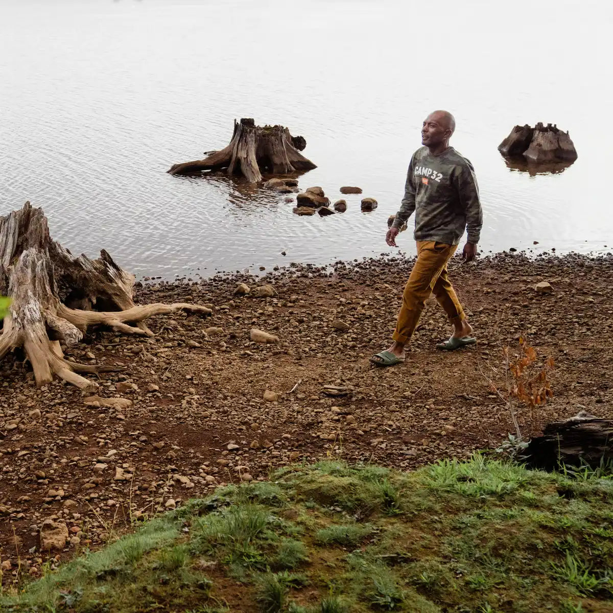 Shelter Cove Slide Forest - Image 7