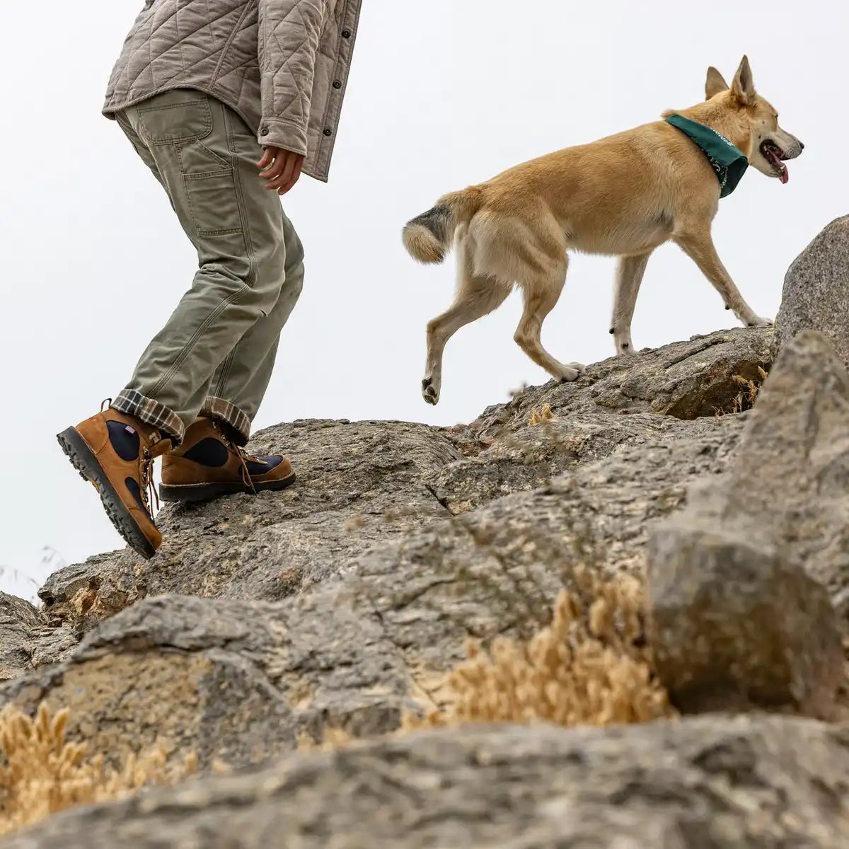 Cascade Crest 5 Grizzly Brown/Ursa Blue GTX - Image 7