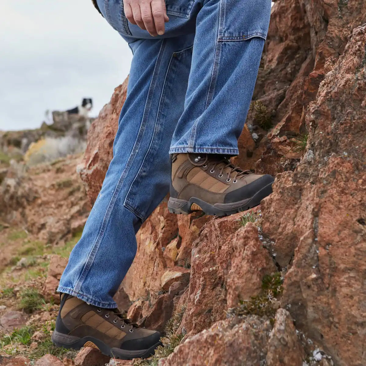 Men's Radical 451 5 Earth Brown/Bone Brown - Image 6