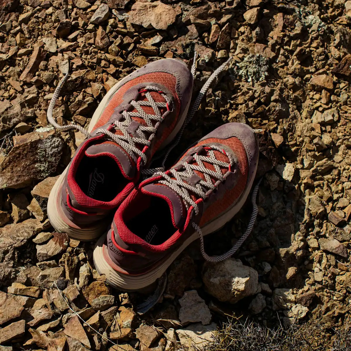 Trail Junction 3 Chocolate/Rhodo Red - Image 8